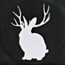 Miike Snow - Animal