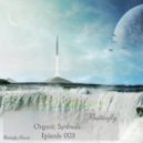 Butterfly - Organic Synthesis Episode 003 (12.08.2012)