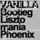 Phoenix - Lisztomania (Vanilla Bootleg)