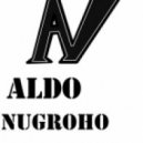 Skrillex feat Ellie Goulding - Summit (Aldo Nugroho Remix)