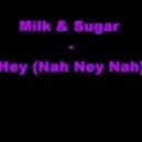 Milk & Sugar vs Vaya Con Dios - Hey (Nah Neh Nah) (Dj Martynoff Mashup)