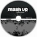Phunk A Delic & Kleinenberg - This Is Fucking Miami Rockin (Dj KvanT Fucking Mashup)