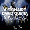 David Guetta ft. Sia - She Wolf