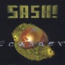 Sash! vs. Stanislav Shik & Denis Rook - Equador