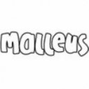 Malleus and Saule - Sacral Chakra