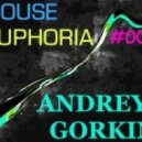 Dj Andrey Gorkin - House Euphoria #009
