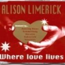 Alison Limerick - Where Love Lives