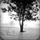 Danel Lobush & Lucas Turschmann - Zauberwald (Original Mix)