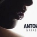 Antonia - Marabou