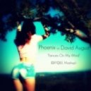 Phoenix vs David August - Fences On My Mind (Diyqee Mashup)