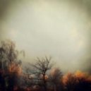 Telepopmusik - Into Everything