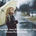 Pink feat. Sven Dorau & Antonia - Try