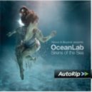 Above & Beyond pres. OceanLab - Sirens Of The Sea (Sunn Jellie Bootleg)