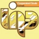 Cooperated Souls - Format (Edy Whiskey Deejay Mashup)