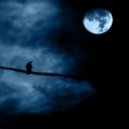 Freak - Nocturne