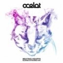 Ocelot - Beating Hearts (Blende Extended Remix)