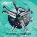 Chemical Brothers - The Salmon Dance