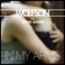 Wolfson feat. David Gahan - In My Arms