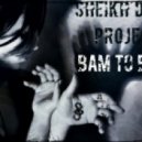 Sheikh Dance Project - Bam to Bass