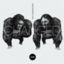 Mario & Vidis - Changed