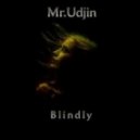 Mr.Udjin - Color of Life
