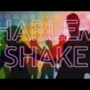 Baauer - Harlem Shake