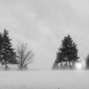 Digital Rain - Pure white snow