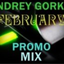 Dj Andrey Gorkin - February Promo Mix 2013