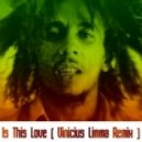 Bob Marley & The Wailers - Is This Love