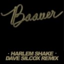 Baauer - Harlem Shake