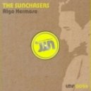 The Sunchasers - Algo Hermoso (Gilbert Le Funk Remix)
