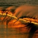Sea Of Psilocybin - Change Wave From Sea
