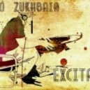 Sandro Zukhbaia - Excitation 003