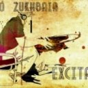 Sandro Zukhbaia - Excitation 004