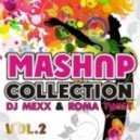 Aloe Blacc & DJ Viduta vs. Captcha - I Need A Dollar (Roma TwiST & DJ MEXX Mash Up 2k13)