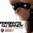 Sandra vs. Discovery - In The Heat Of The Night (DJ Bandy Mashup)