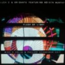 Luca C & Brigante - Flash Of Light feat. Roisin Murphy (Mike O Velja & Philipp Schneider Edit)
