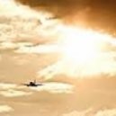 Mango - Citylines Airplanes