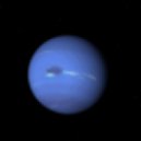 Neptune Wave - Obsen