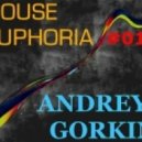 Dj Andrey Gorkin - House Euphoria #010