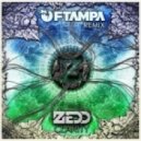 Zedd feat. Foxes - Clarity (FTampa Remix)