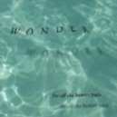 Wonder - Faces In The Smoke