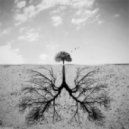 Aparde - Koloss