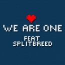 Pegboard Nerds feat. Splitbreed - We Are One