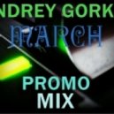 Dj Andrey Gorkin - March Promo Mix 2013