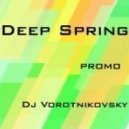 Dj Vorotnikovsky - Deep Spring