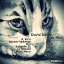 David Divine - Cats Mind