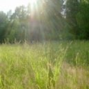 Dima Torch - Sunny Day
