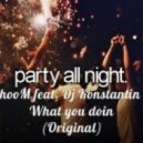 DJ Konstantin Gerc feat. DJ Shoom - What You Do