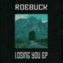Roebuck - Losing You ()